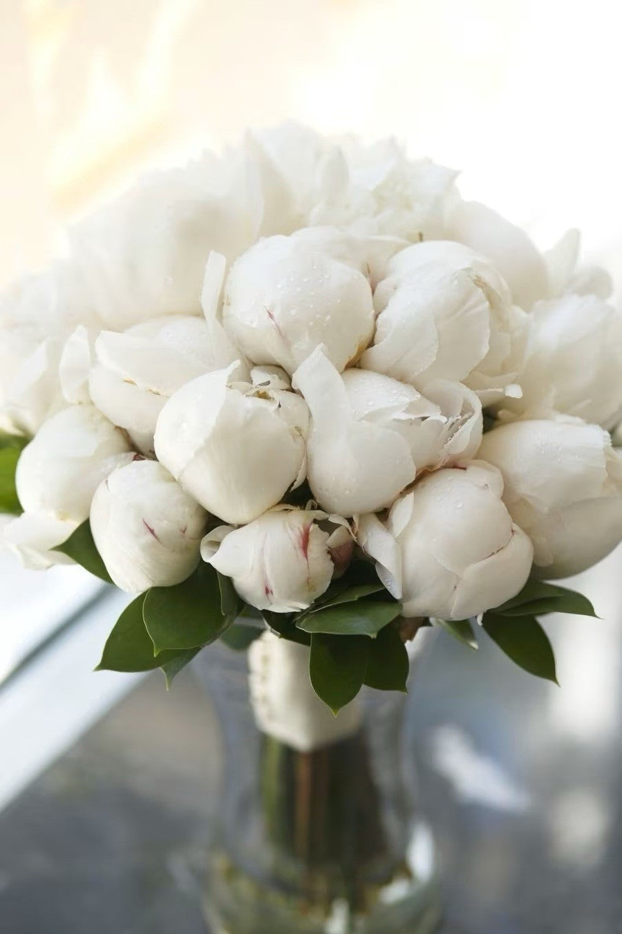 4 x White Peony Bulbs – Fragrant Hardy Perennial – Bee Friendly Garden Flowers
