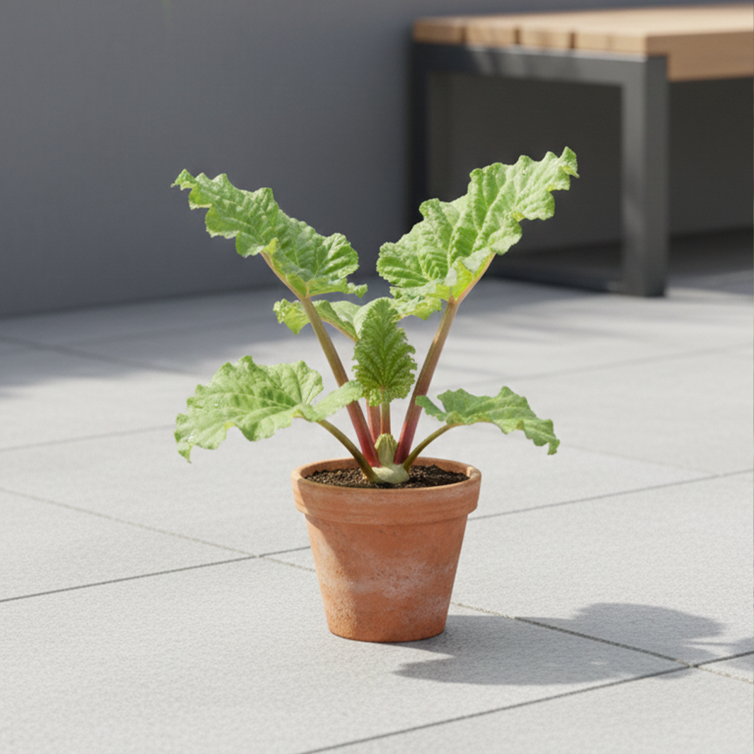 lookbook image shop_this_look_EcLGgQ